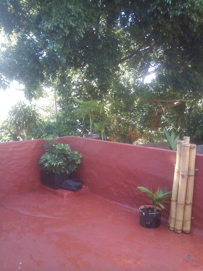 Flia Ocampo Lägenhet Puerto Iguazú Exteriör bild
